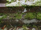 image of grave number 604429